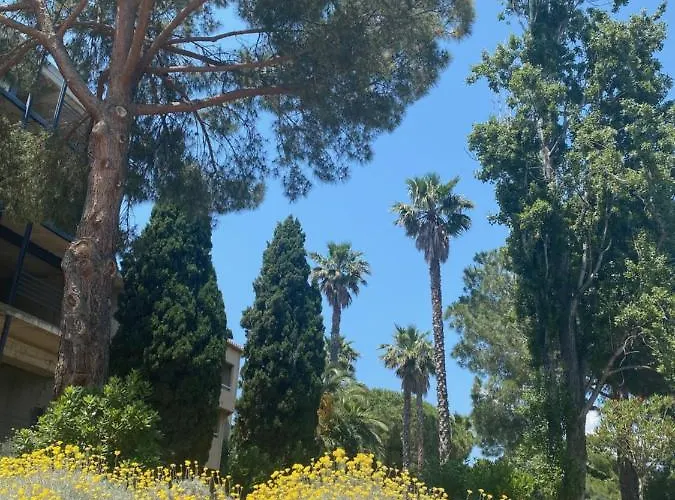 Cors'hotel 3* Biguglia